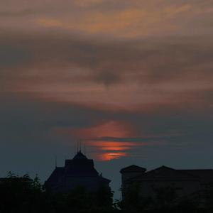 性感美女被大鸡巴日逼
